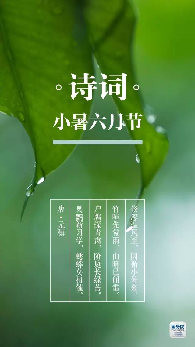 他时若得风运会，必作本天栋梁汉   打一精准生肖，深度解答解释落实_4427.02.08