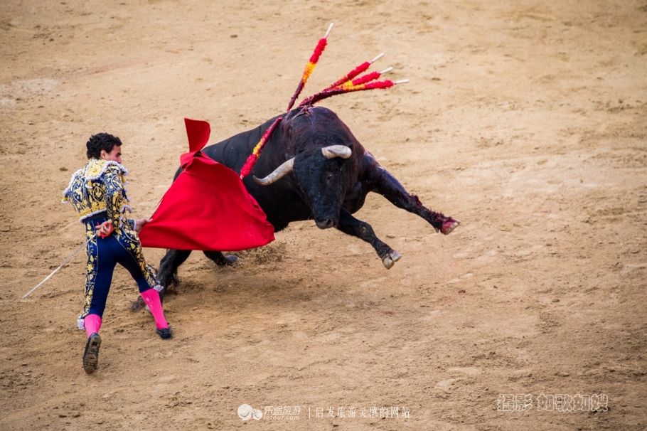 单人举行演唱会，红绿色彩伴舞台。龙蛇混淆祸福多，鼠牛必定来开路打一精准生肖，时代解答解释落实_j600.63.92