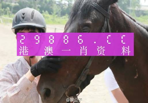 澳门必中一肖一码，实证解答解释落实_cg241.60.66