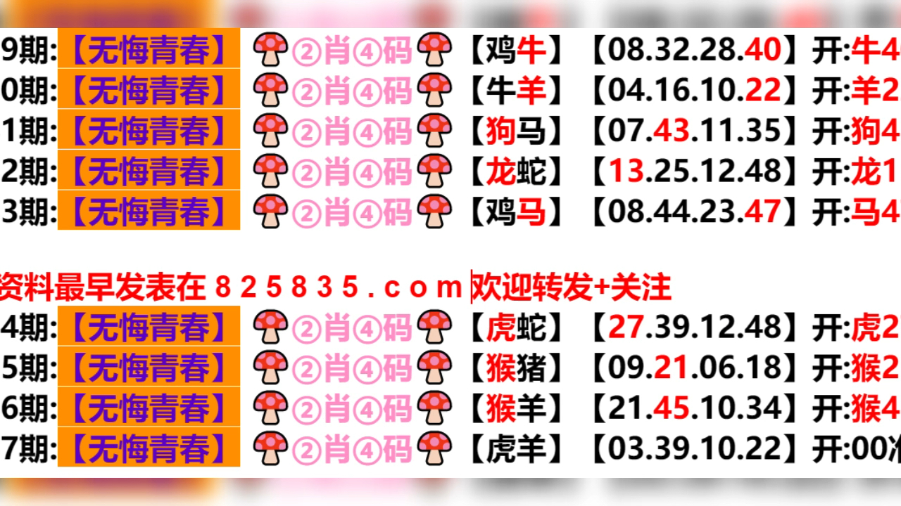 2024年新奥门天天开彩免费资料，全面解答解释落实_6f73.02.35