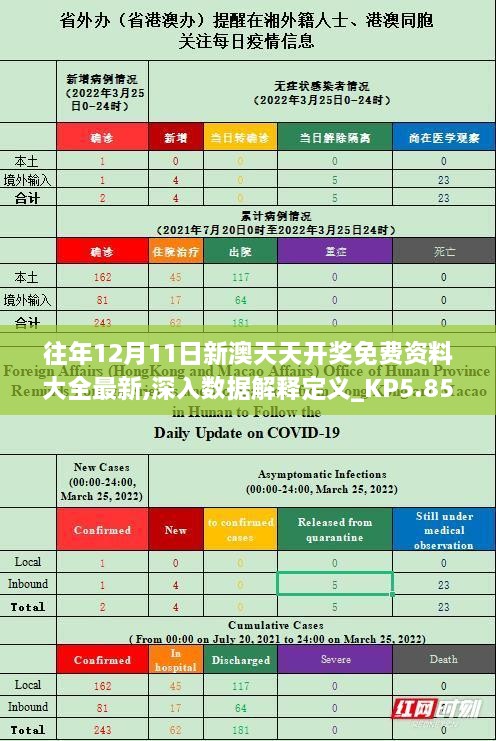 新澳天天免费资料单双大小，实时解答解释落实_kx93.83.72