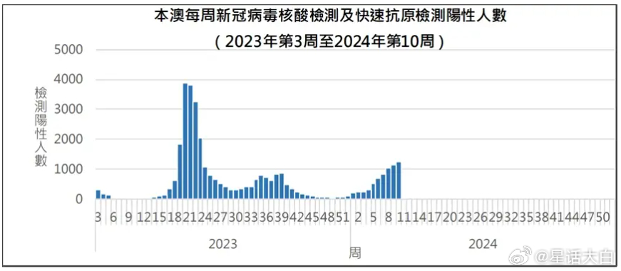 新澳门历史记录查询最近十期，详细解答解释落实_tq81.24.32