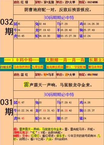 新澳门内部资料精准大全软件，全面解答解释落实_0ik53.29.63