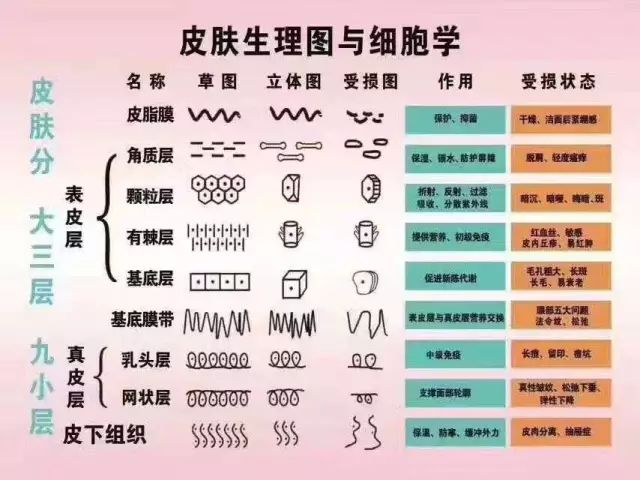 2024年澳门天天开好彩最新版，前沿解答解释落实_oe97.74.23